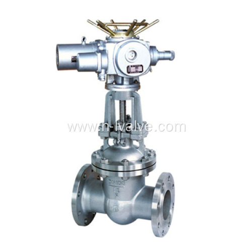 Stainless Steel Gate Valve